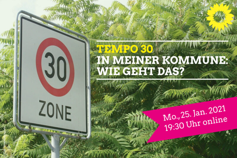 Webinar 2021-01-25 Tempo-30-in-meiner-Kommune_2x3