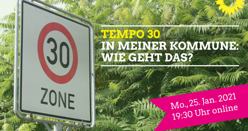 Webinar 2021-01-25 Tempo-30-in-meiner-Kommune_2x3