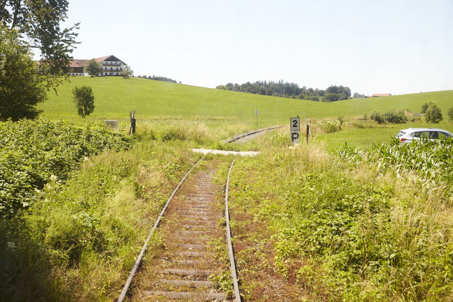 Leicht verwilderndes Bahngleis in grüner Landschaft