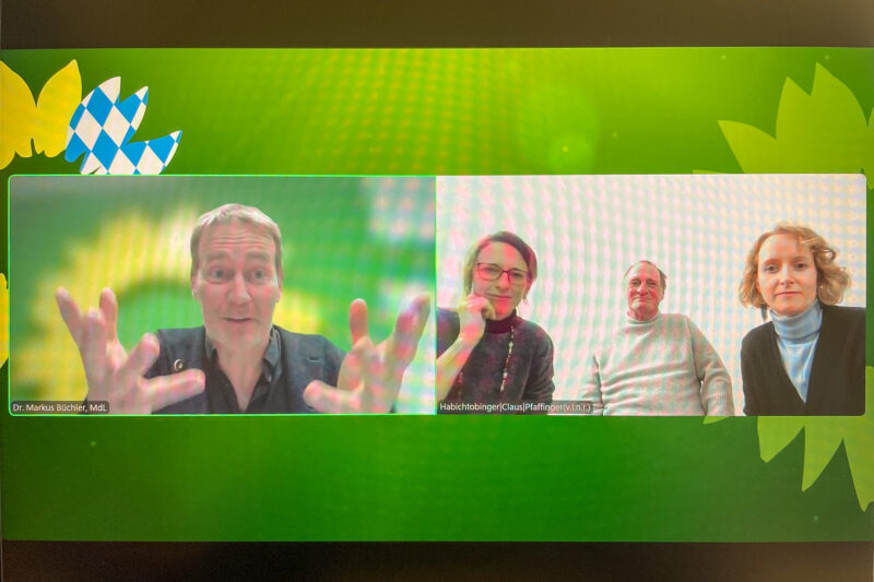 Bildschirmfoto mit Markus Büchler und Gästen im Webinar.