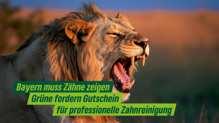 Grüne fordern Gutscheine für professionelle Zahnreinigung: Bayern muss Zähne zeigen!