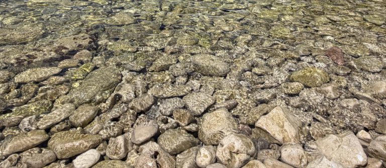 Claudia Köhler und Dr. Markus Büchler: „Die Wasserknappheit im Landkreis München muss jetzt alle alarmieren!“