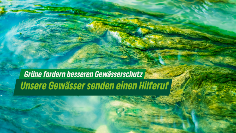 Blaualgen statt Badespaß: Unsere Gewässer senden einen Hilferuf – Grüne fordern besseren Gewässerschutz im Landkreis München